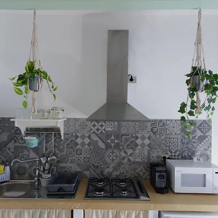 Alli Rotti * מאטינו